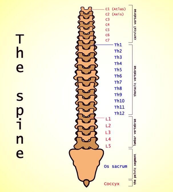 lumbalna osteohondroza